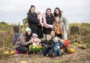 At Walby Farm Park, you can pick your own pumpkins at their annual Pumpkin Picking on the Farm event
