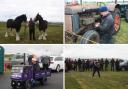 Various sites at the Hethersgill Vintage Rally. Clockwise from top left: Alan Matear and his horses, Trevor fixing up an old tractor, juniors wrestling, Dairy Milk mini truck