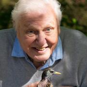Sir David Attenborough pens a letter to Kingmoor Infant School
