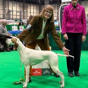 Jackie and Ava at Crufts
