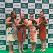 Janice, Rachel, Lucy and Chloe with dogs Roly, Nola, Beth and Reba in the breeders competition