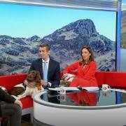 Kerry and his three pooches joined the BBC breakfast sofa this morning