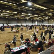 Carlisle & District Canine Society's Premier Open Show in 2023