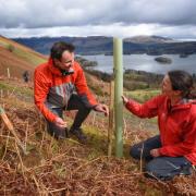 National Trust Ranger Jessie Binns and ultra fell runner Steve Birkinshaw planting saplings on Cat Bells