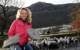 Sally Phillips with some of her flue insulation products and a flock of Herdwick sheep that supply her materials