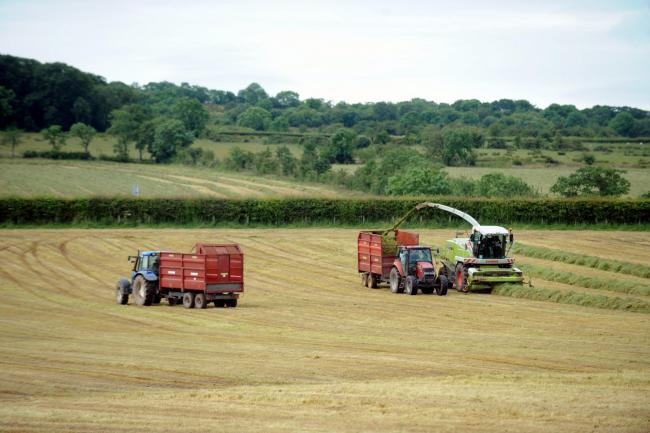 Farmers silaging at Thwaites Farm near Welton...TUESDAY 17th JULY 2012. DAVID HOLLINS 50036322F006.jpg.