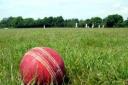 Cumbria Cricket League will discuss plans to restructure for 2024  at it's annual general meeting on Saturday, October 29
