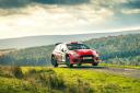 Cheviot Stages: Frank Bird. Photo: James Ward / Chicane Media Photography)