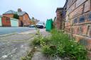 Weeds growing out of a pavement in Carlisle