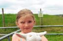 The Cumberland Show, at Carlisle Racecourse, 14 June 2014.
Nine-year-old Carla Mitchell, from Skelton, pictured with new born lamb Jim  LOUISE PORTER 50064419F007.JPG