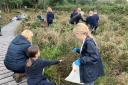 Pupils from Kirkbampton Primary School exploring Finglandrigg Woods