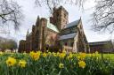 Vigil to be held on the grounds of Carlisle Cathedral