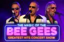 See The Magic of The Bee Gees next year