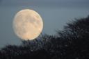 Paul Grindley shared this image of the moon rising over Ridge Wood, Brampton