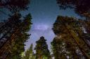 Head to Whinlatter for a guided Dark Skies walk on January 27 and February 9