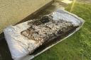 Burnt mattress as a result of the fire.