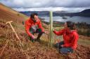 National Trust Ranger Jessie Binns and ultra fell runner Steve Birkinshaw planting saplings on Cat Bells