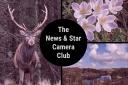 Get involved with the News & Star and Cumberland News Camera Club