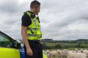 Cumbria police attended the incident of sheep worrying