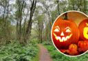 Watchtree Nature Reserve is inviting people to take part in it's Watchtree Haloween Challenge this year, Picture: Dot Fraser
