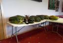 Egremont Town Council. Marrow charity contest