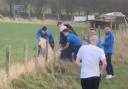Clitheroe manager Billy Priestley and colleagues free a sheep from barbed wire (image: Clitheroe FC Twitter)