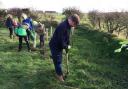Wigton for Trees volunteers planting trees