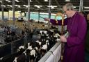 Official opening of the Newton Rigg College dairy unit at Sewborwens Farm near Penrith. The Bishop of Carlisle The Right Reverend James Newcombe blessing the herd  on March 21 2014. Picture: Jonathan Becker