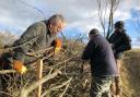 This year's hedge-laying competition takes place in Kendal next month