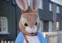 Peter Rabbit is putting his mischief aside to raise money for charity