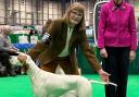 Jackie and Ava at Crufts