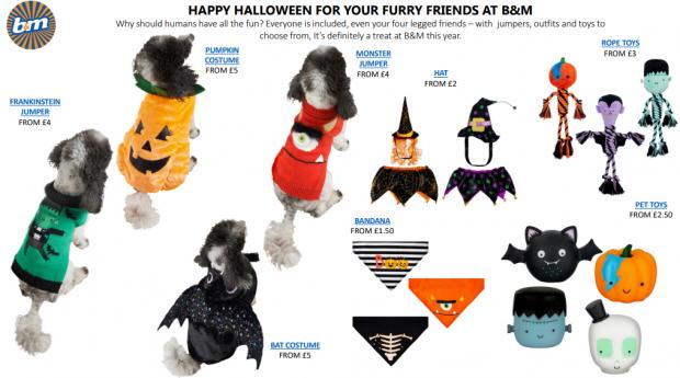 News and Star: Pet costumes and accesories. Credit: B&M
