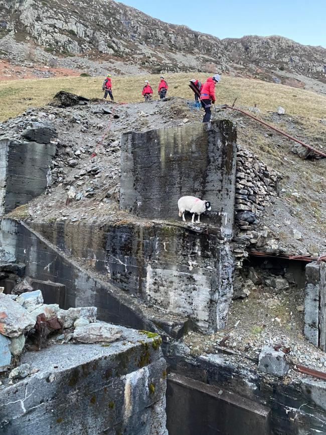 A team from Patterdale Mountain Rescue saved a sheep that had got stuck at Greenside Mine on December 10. Pic: Patterdale MTR