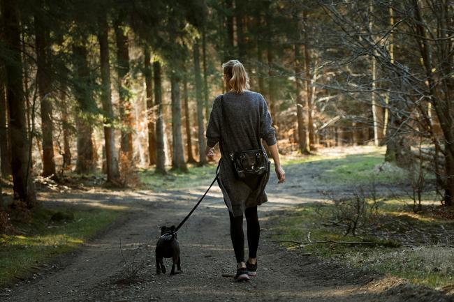 Readers reacted with frustration over the issue of dog fouling after it was revealed that dog walkers could be fined up £1,000 if they are caught not picking up after their pet. Pic: PA