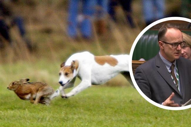 FARM lobbyists welcomes action on Hare Coursing