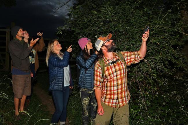 Stargazing in the forest at a Dark Skies Festival event