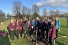 ENVIRONMENT: Councillor joins pupils in planting trees 