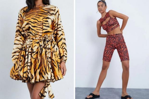 News and Star: (Left) Burnt Orange Premium Satin Woven Tiger Tie Waist Skater Dress (Right) Black Tiger Print Cycling Shorts (I Saw It First/Canva)