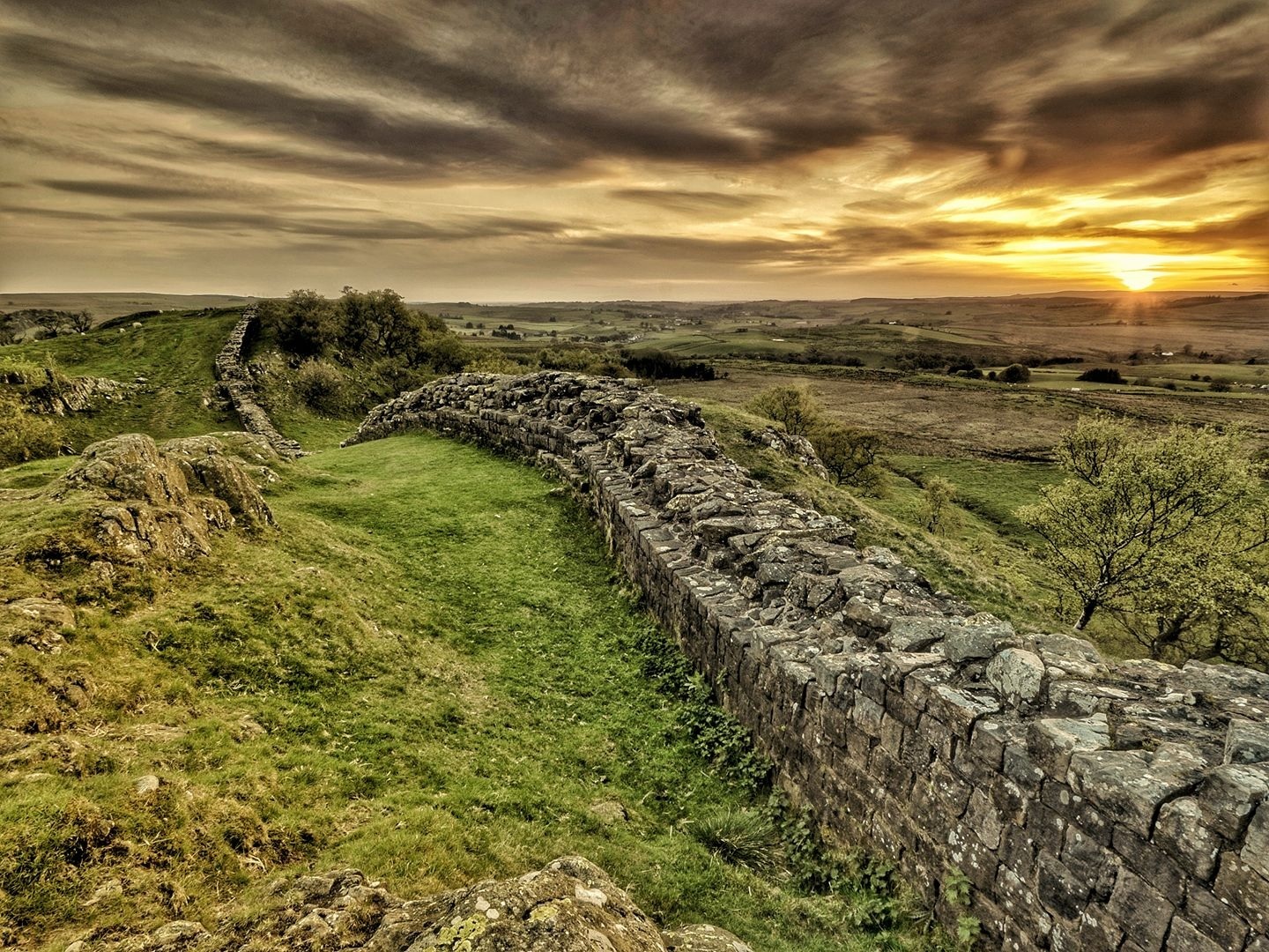 New threat facing Hadrian's Wall as it marks 1,900 years - Vimarsana News
