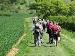 Carlisle City Council ramble scheme to promote health - Vimarsana News