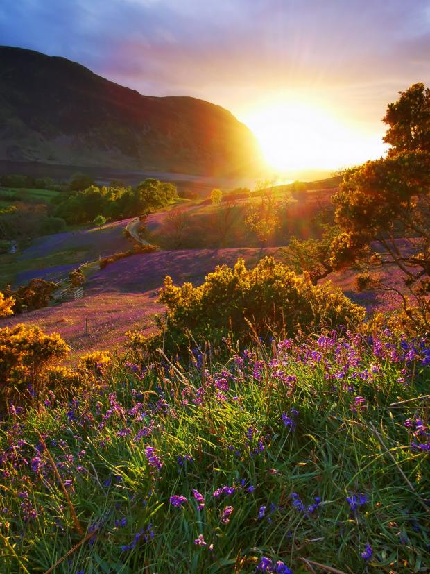 News and Star: WOW: Scott Lynan caught the golden hour shining over Rannerdale 