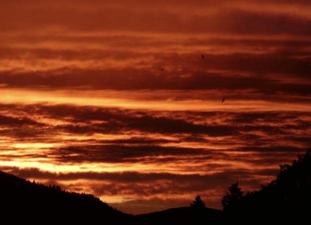 News and Star: ORANGE: The sky over Skiddaw seemed bright orange