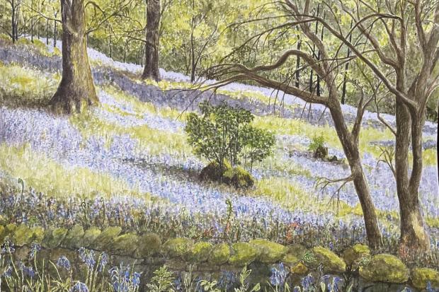 ART: “Bluebell Bank” by Hazel Jefferson will feature in the exhibition.