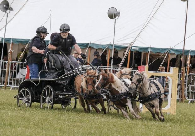 News and Star: TRADITION: The Cumberland Show 2018. The driving competition in the Main ring.