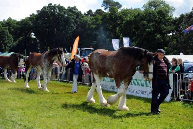 News and Star: The Grand Parade in the main ring, at Skelton Show, July 2016. Picture: Louise Porter