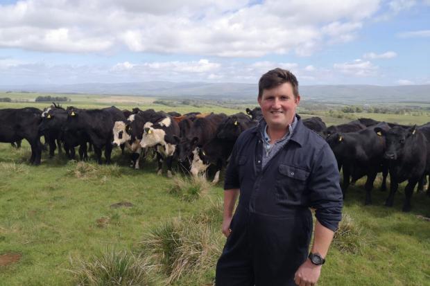 TRANSFORMATION: Jim Beary and cattle at Gaythorne Hall Farm