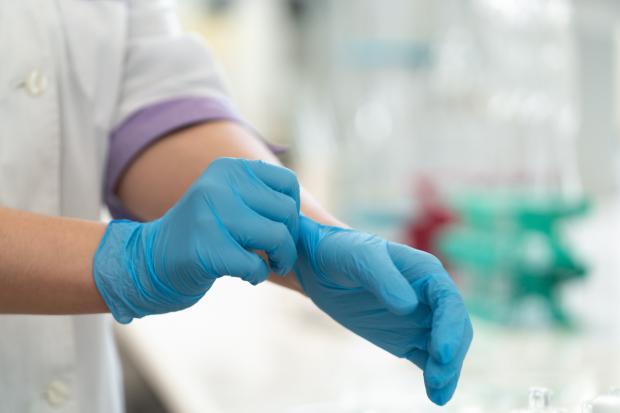 News and Star: A person putting blue medical gloves on (Canva)