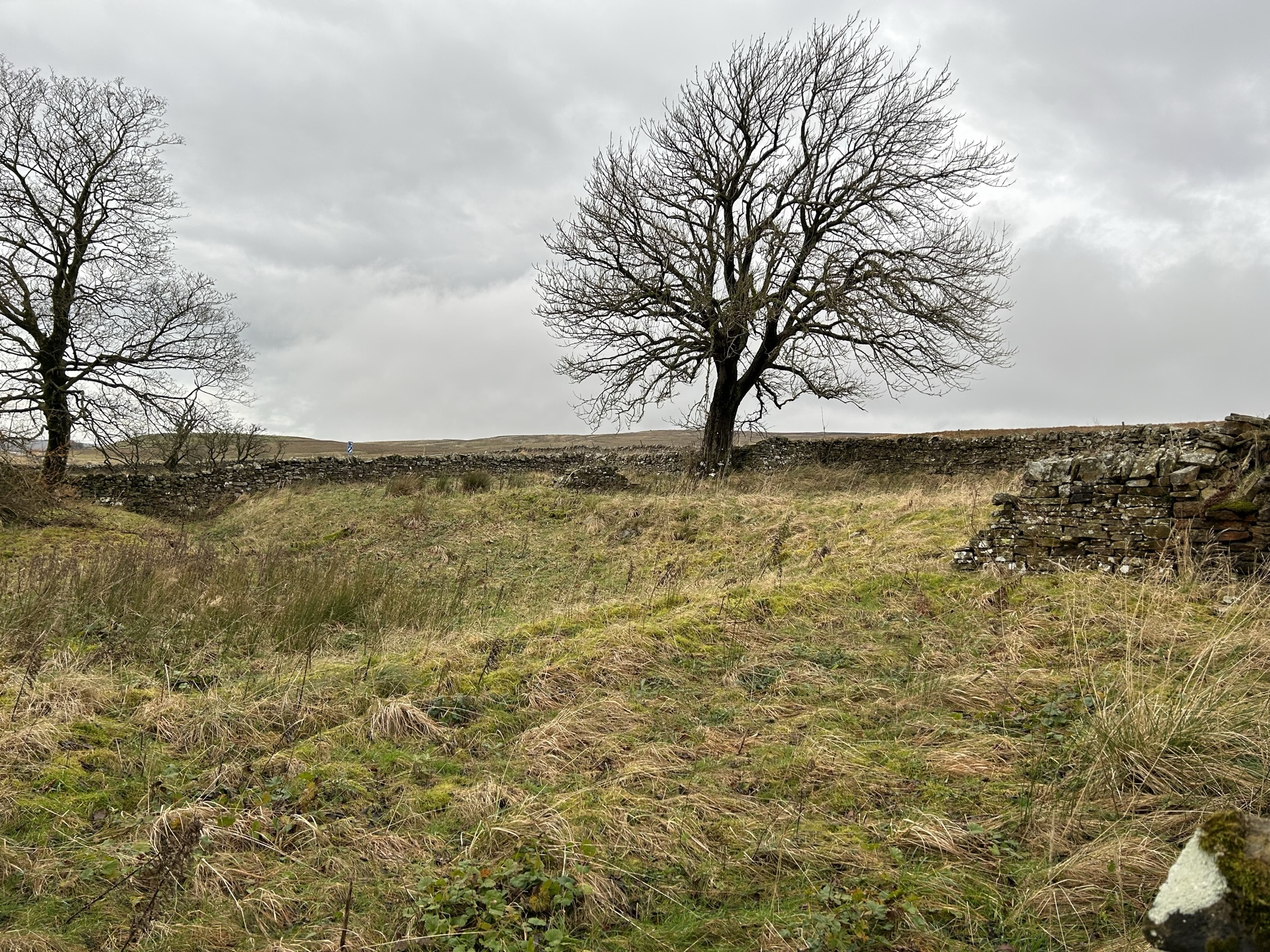 A parcel of land for sale at Alston comes with an unusual story - Vimarsana News