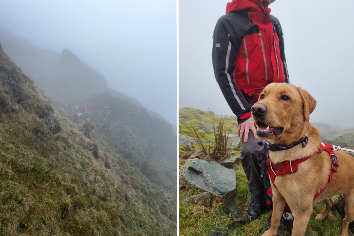 Coniston Mountain Rescue rush to cragfast couple and dog - Vimarsana News