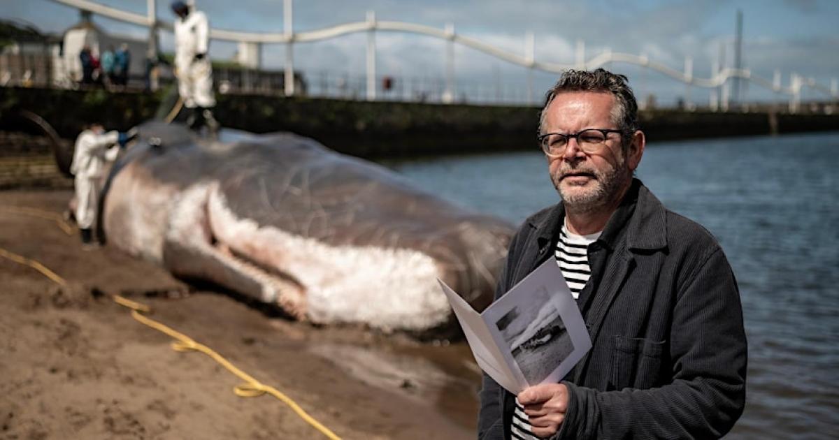 Book inspired by hyper-real whale model to launch in Whitehaven - Vimarsana News